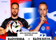 米兰体育入口-关于北爱尔兰队力挫斯洛文尼亚，欧国联前景一片光明的信息