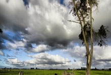 米兰百家乐-绿茵风暴再起！葡超升班马剑指冠军宝座