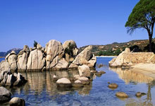 米兰百家乐-绿茵风暴再起！葡超升班马剑指冠军宝座