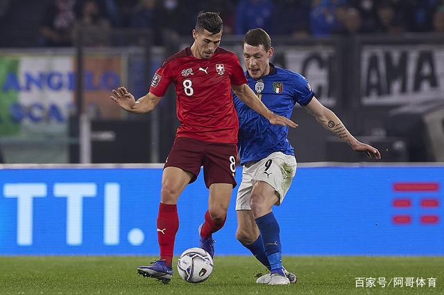 瑞士在比赛中击败保加利亚队 瑞士在比赛中击败保加利亚队